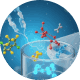 Pharmacokinetic