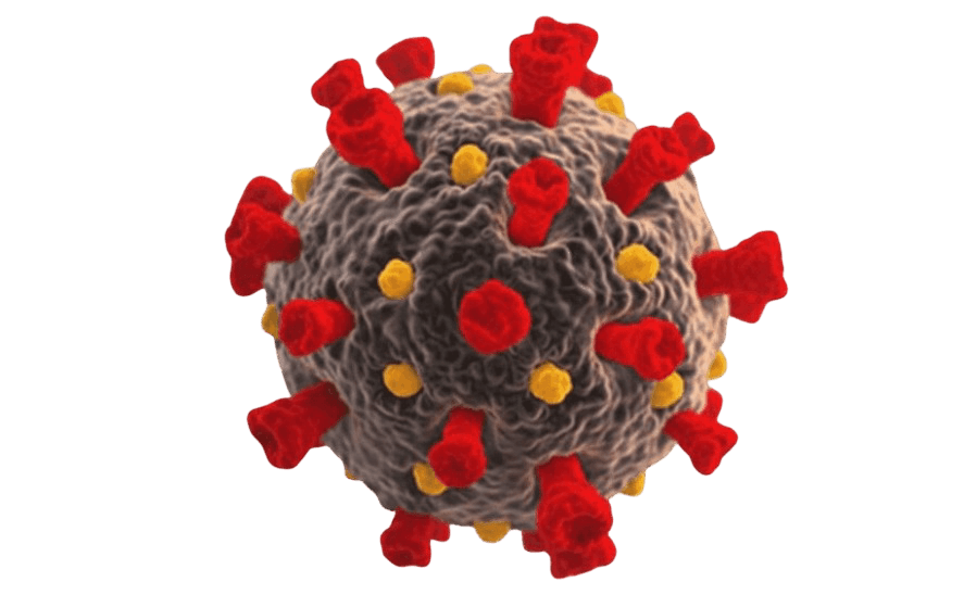 Somru SARS-COV-2 Response