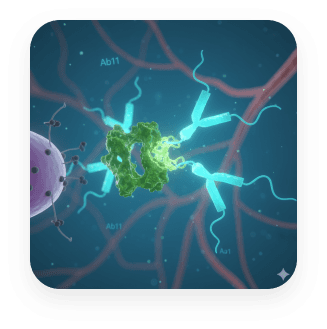 Ab49: Anti-VEGF