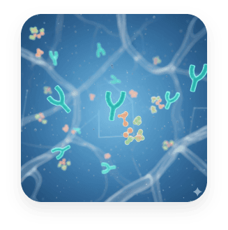 Ab11: Anti-VEGF